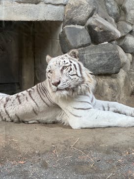 東武動物公園に投稿された画像（2024/12/26）