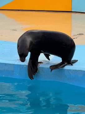 東武動物公園に投稿された画像（2024/12/26）