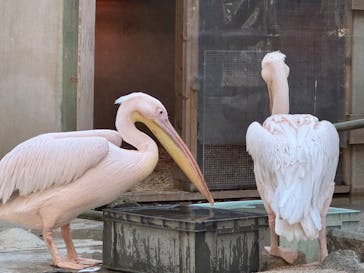 東武動物公園に投稿された画像（2024/12/26）