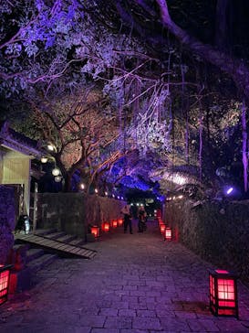 体験王国 むら咲むらに投稿された画像（2024/12/26）