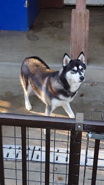 IPCわんわん動物園に投稿された画像（2024/12/26）