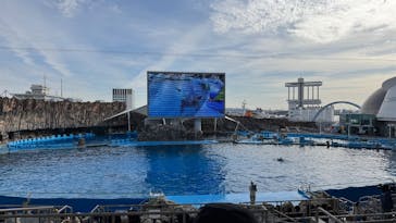 名古屋港水族館に投稿された画像（2024/12/26）