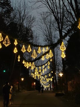 ムーミンバレーパークに投稿された画像（2024/12/26）