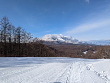 軽井沢スノーパークに投稿された画像（2024/12/26）