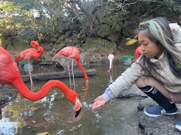 伊豆シャボテン動物公園に投稿された画像（2024/12/26）