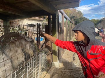 伊豆シャボテン動物公園に投稿された画像（2024/12/26）