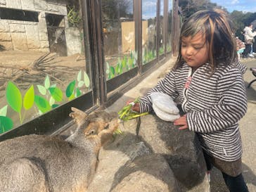 伊豆シャボテン動物公園に投稿された画像（2024/12/26）