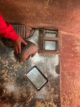 伊豆シャボテン動物公園に投稿された画像（2024/12/26）