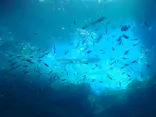 仙台うみの杜水族館に投稿された画像（2024/12/27）