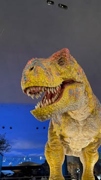 福井県立恐竜博物館に投稿された画像（2024/12/27）