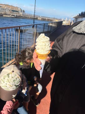 伊豆・三津シーパラダイスに投稿された画像（2024/12/27）