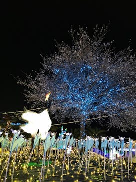 伊豆高原グランイルミに投稿された画像（2024/12/27）