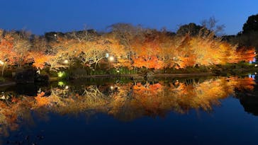 なばなの里に投稿された画像（2024/12/27）