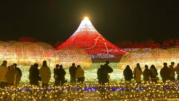 なばなの里に投稿された画像（2024/12/27）