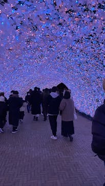 なばなの里に投稿された画像（2024/12/27）