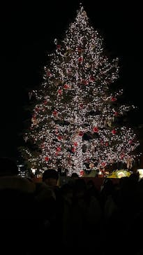 Christmas Market in 横浜赤レンガ倉庫 2025に投稿された画像（2024/12/27）