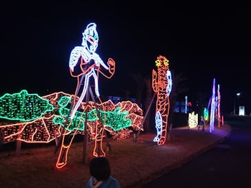 鹿児島イルミナージュに投稿された画像（2024/12/27）