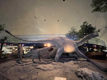 福井県立恐竜博物館に投稿された画像（2024/12/27）
