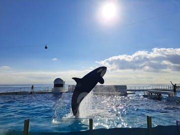 鴨川シーワールドに投稿された画像（2024/12/27）