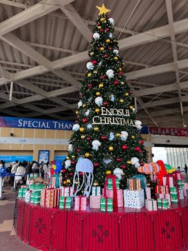 新江ノ島水族館に投稿された画像（2024/12/27）