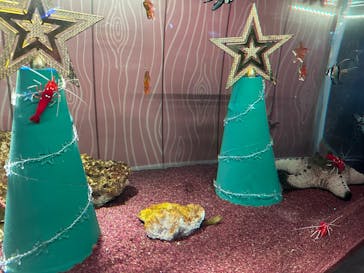 新江ノ島水族館に投稿された画像（2024/12/27）