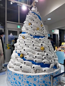 新江ノ島水族館に投稿された画像（2024/12/27）