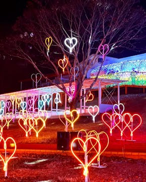 みろくの里に投稿された画像（2024/12/27）