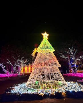 みろくの里に投稿された画像（2024/12/27）