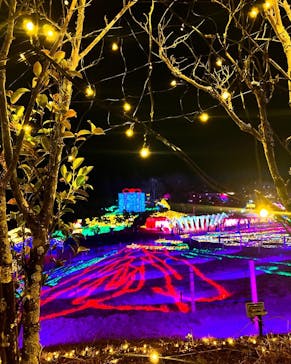 みろくの里に投稿された画像（2024/12/27）