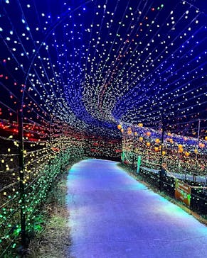 みろくの里に投稿された画像（2024/12/27）