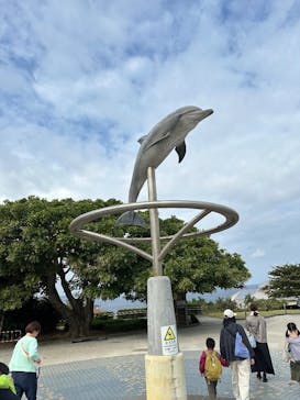 沖縄美ら海水族館に投稿された画像（2024/12/27）