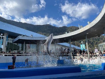 大分マリーンパレス水族館 「うみたまご」に投稿された画像（2024/12/27）