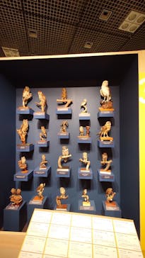 特別展「鳥 ～ゲノム解析が解き明かす新しい鳥類の系統～」国立科学博物館に投稿された画像（2024/12/27）