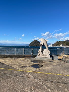 伊豆・三津シーパラダイスに投稿された画像（2024/12/27）
