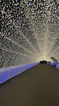 なばなの里に投稿された画像（2024/12/27）