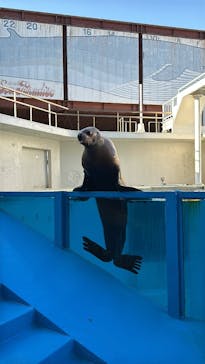 伊豆・三津シーパラダイスに投稿された画像（2024/12/27）