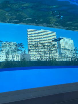 サンシャイン水族館に投稿された画像（2024/12/27）