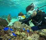 沖縄マリンサービス碧に投稿された画像（2024/12/27）