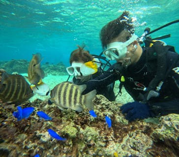 沖縄マリンサービス碧に投稿された画像（2024/12/27）