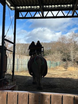 那須ワールドモンキーパークに投稿された画像（2024/12/27）