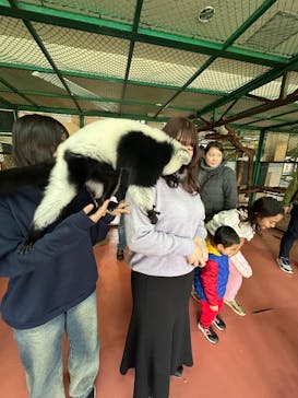 那須ワールドモンキーパークに投稿された画像（2024/12/27）