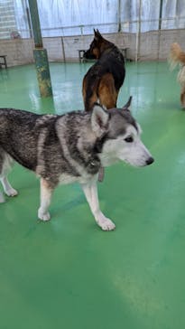 つくばわんわんランドに投稿された画像（2024/12/27）