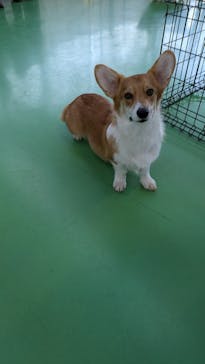 つくばわんわんランドに投稿された画像（2024/12/27）