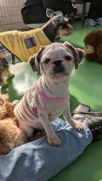 つくばわんわんランドに投稿された画像（2024/12/27）