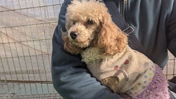 つくばわんわんランドに投稿された画像（2024/12/27）