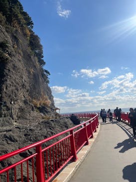 江の島シーキャンドル×新江ノ島水族館に投稿された画像（2024/12/27）