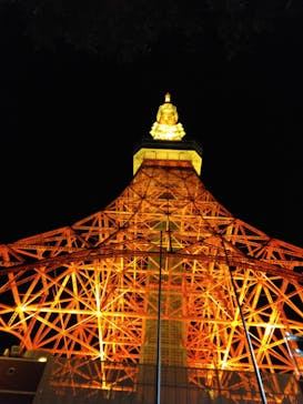 東京タワーに投稿された画像（2024/12/27）