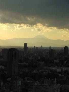 東京タワーに投稿された画像（2024/12/27）