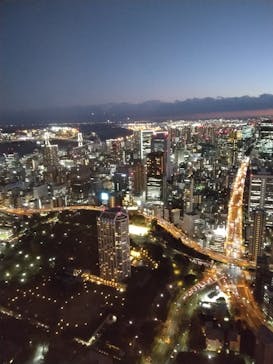 東京タワーに投稿された画像（2024/12/27）