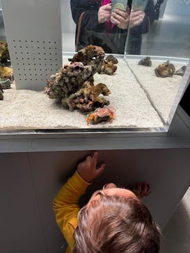 AOAO SAPPOROに投稿された画像（2024/12/27）